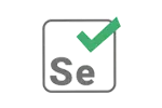 Selenium in Chennai