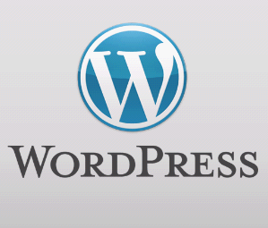 WordPress Training in Chennai