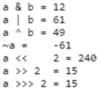 Bitwise Operator Output