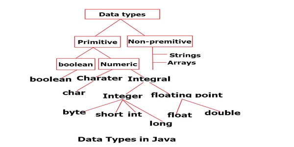 Data Types