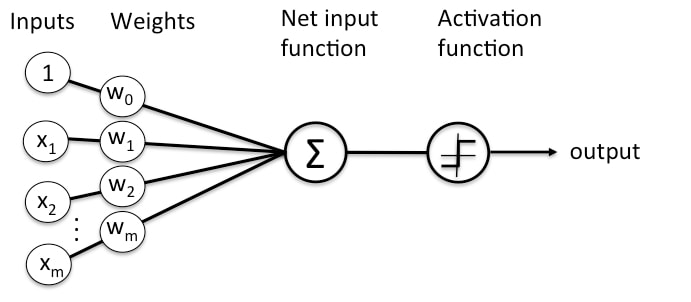 Neural Netwrok Representation of the Function