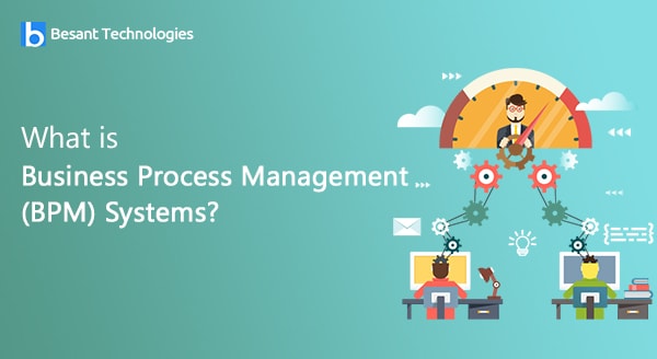 Business Process Management (BPM) Systems