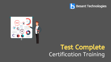 Test Complete Training in Chennai