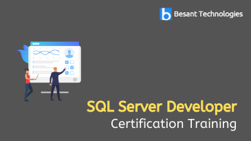 SQL Server Developer Training in Chennai