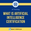 Artificial Intelligence Course Online Certification Training