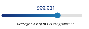 Go Programmer Salary