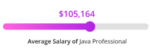 Java programmer salary