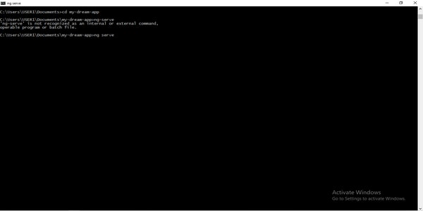 ng serve check operation with