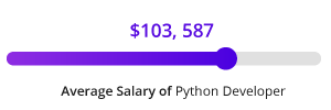 Python programmer salary