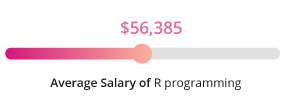 R Programmer Salary