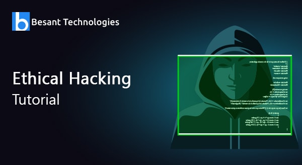 Hacking Websites for Ethical Hacking: A Comprehensive Guide