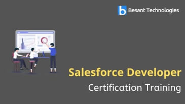 Salesforce Developer Training in Noida