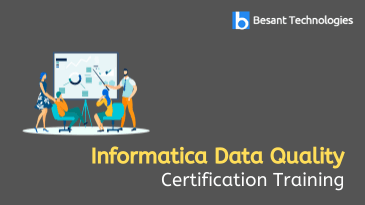 Informatica Data Quality Training