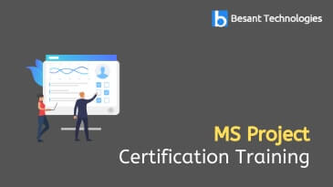 MS Project Training