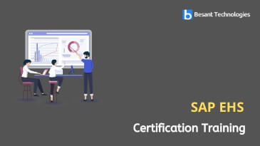 SAP EHS Online Training