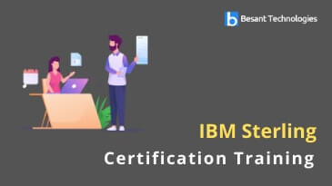 IBM Sterling Training in Bangalore