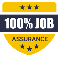 100% Job Guarantee Course