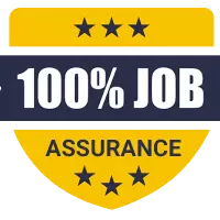 100% Job Guarantee Course